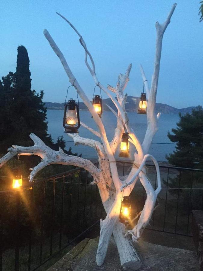Appartement Koklas Lithakia (Zakynthos)