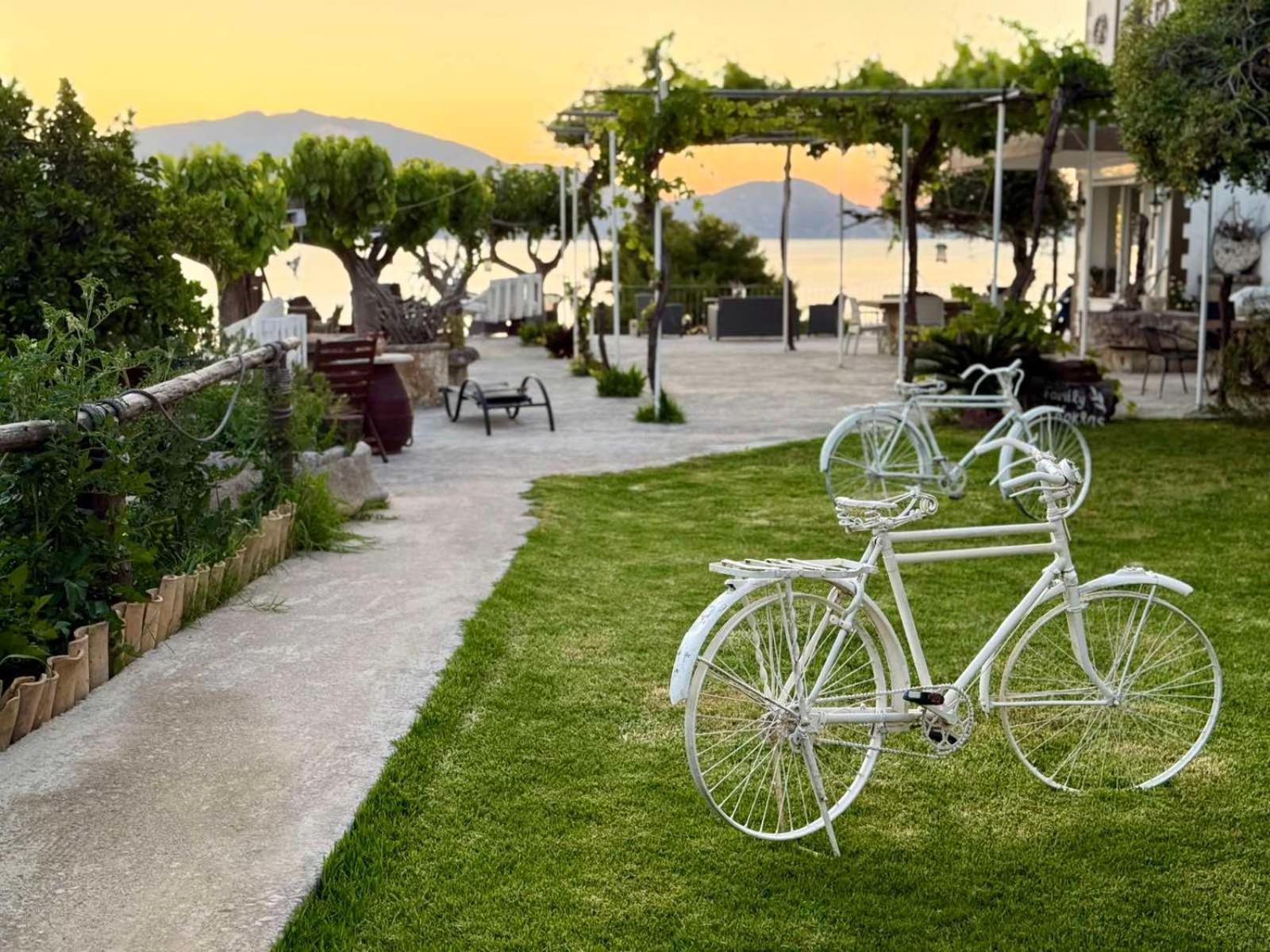 Koklas * Lithakia (Zakynthos)